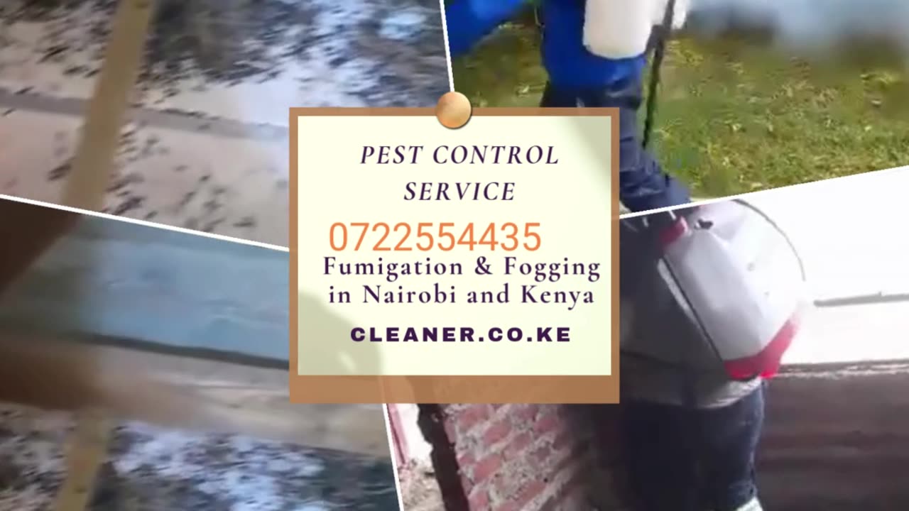 Bed Bug Fumigators in Nairobi 0722554435