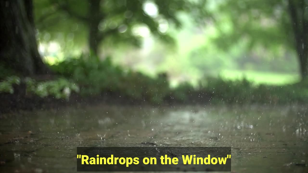 Raindrops on the Window