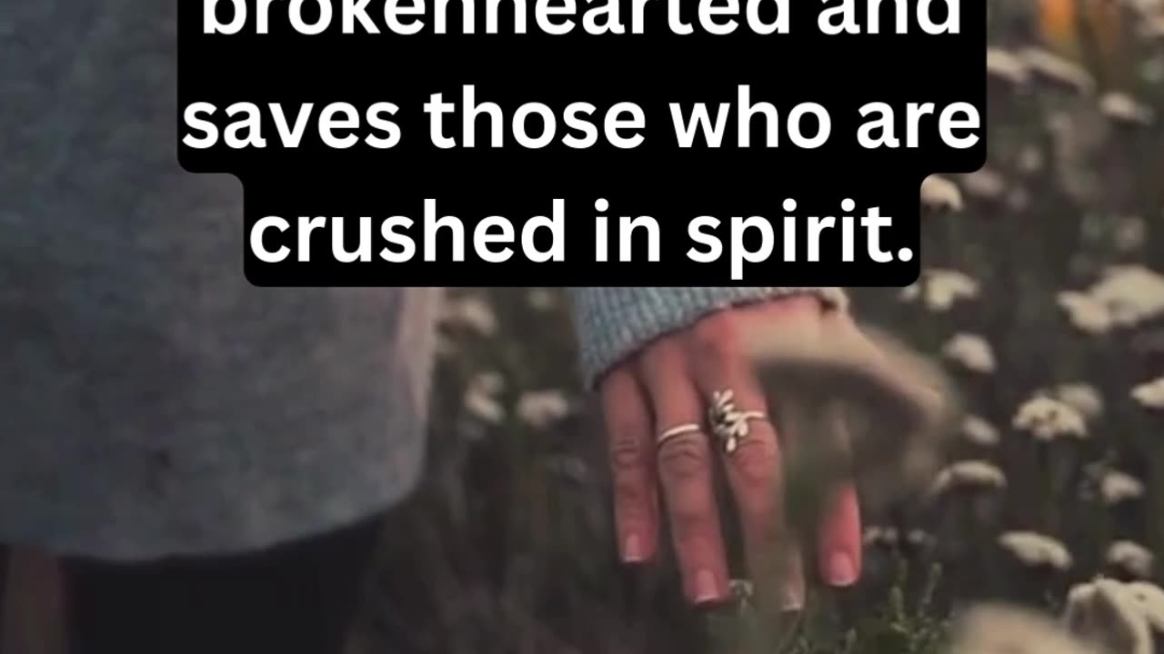 Daily Bible Verse
