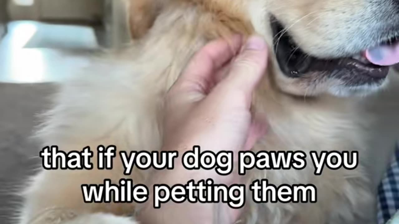 Makes your arm a little heavy tho