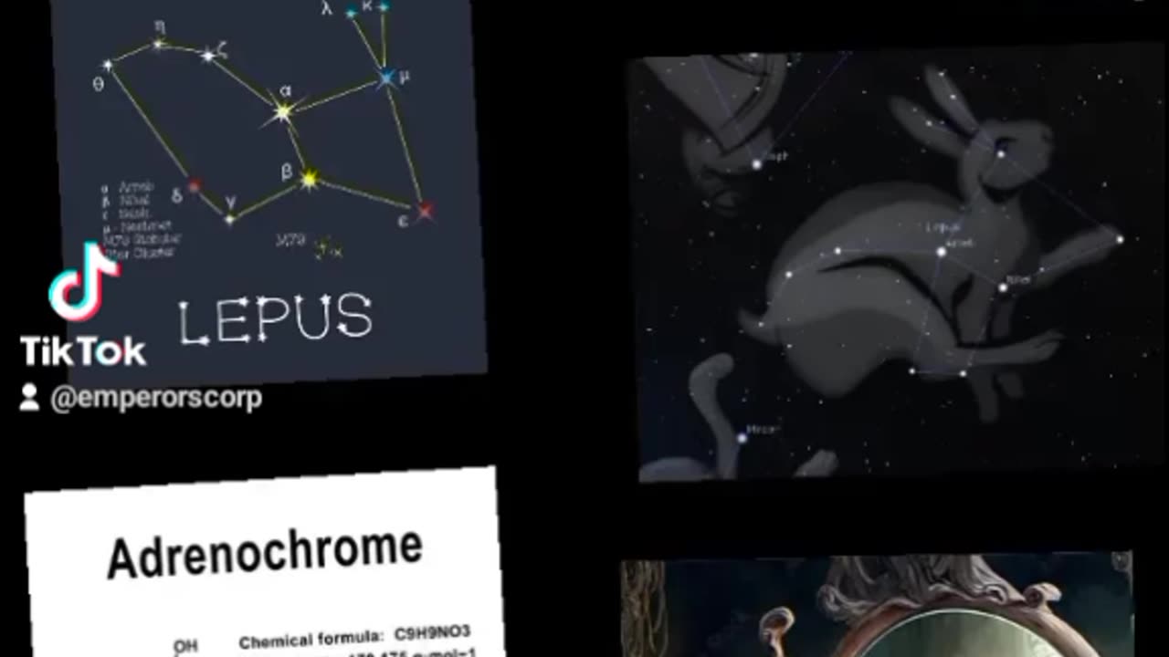 ALICE JUST WANTED TO REMAIN YOUNG FOREVER