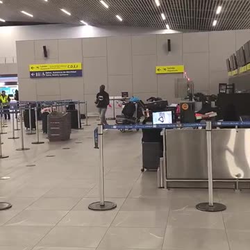 Solo Chimp Out at Chilean Airport