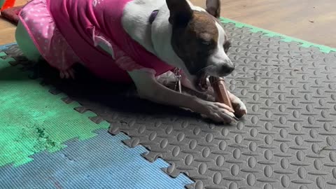 How Princess uses Duck Call #funny