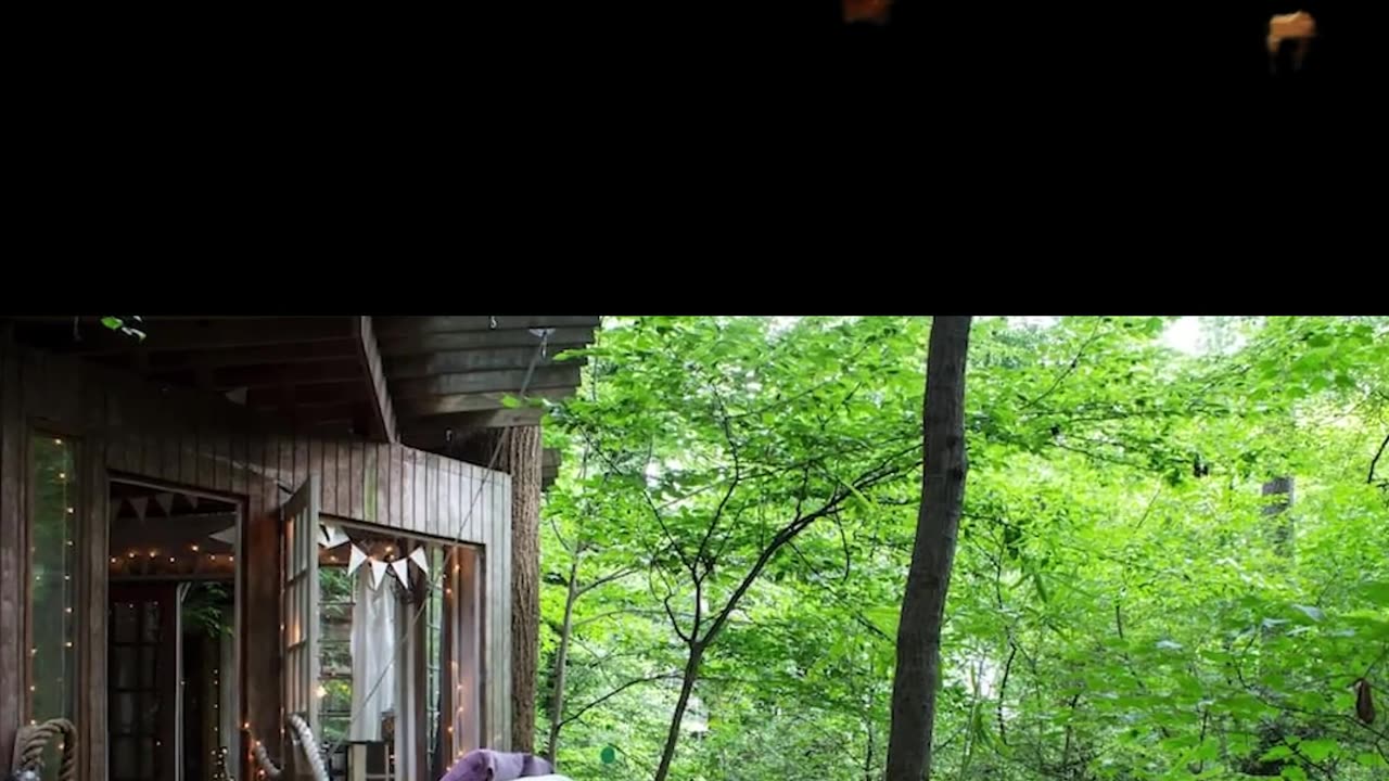 AirNb TreeHouse Exploration + Plus