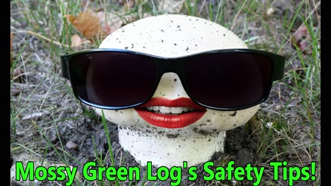 Mossy Green Log's Safety Tip #17!