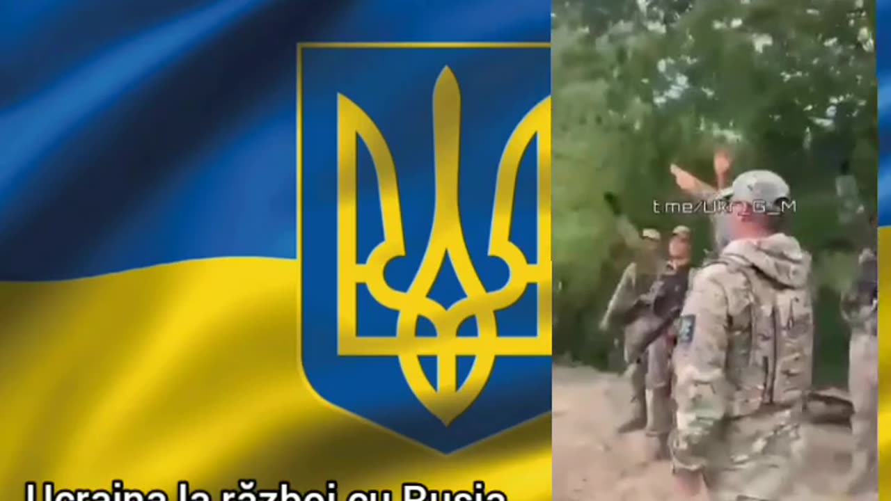 Ukraine Nazi