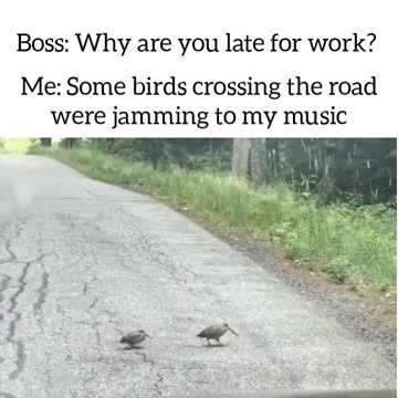 Boss: why are you late for work?