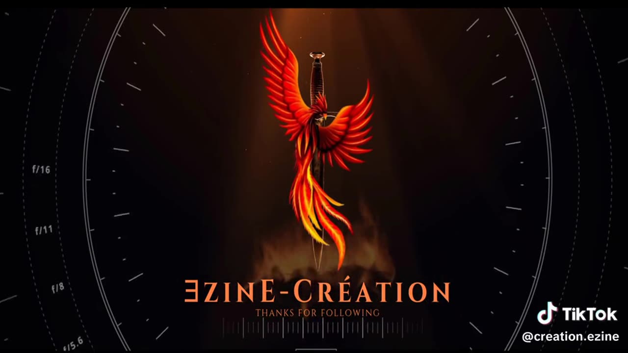 EzinEcreation