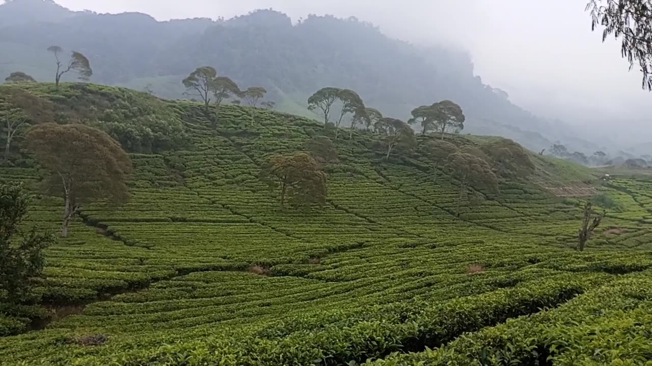 Jalur cianjur - bandung