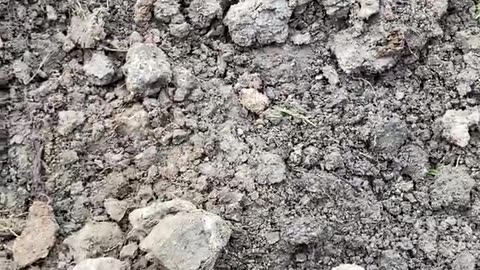 Grounding day 2/1000