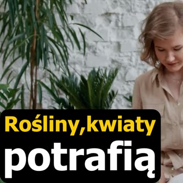 Dotlenienie - Komora 🏠 normobaryczna i hiperbaryczna, oczyszczacze powietrza, 2 fragment... - P. K., CM VV