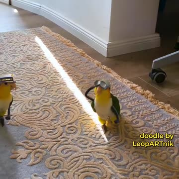 Mastering Bird Portraits in Art