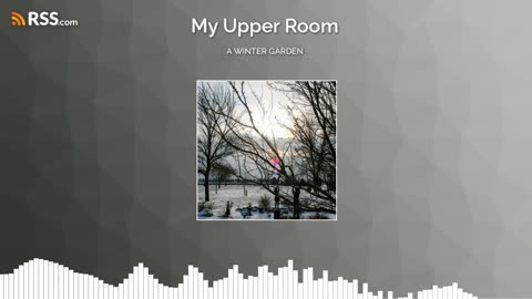 A WINTER GARDEN