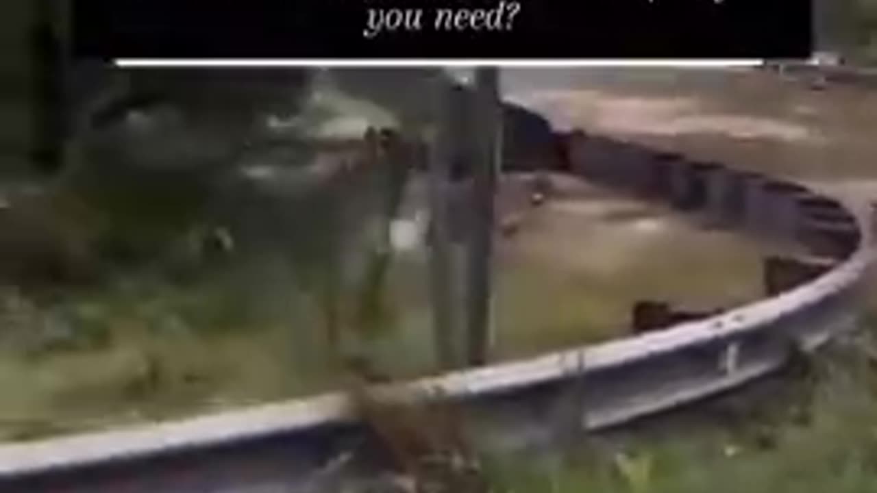 Servicemen Denied Leave To Find Their Dead Children