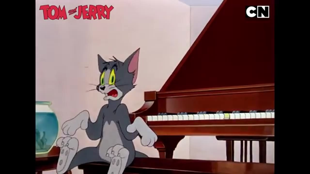 Tom & Jerry Funny Cartoon Compilation