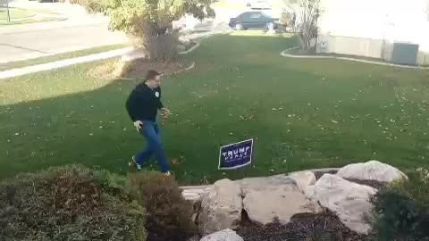 Electrified Trump Sign Sends Would be Libtard Vandal HOPPING