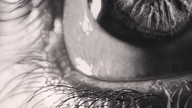 I can’t believe how long this took! - Pencil Drawing Process