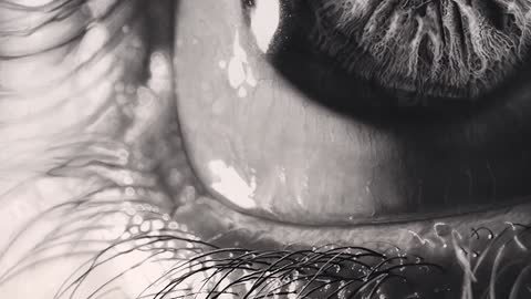 I can’t believe how long this took! - Pencil Drawing Process