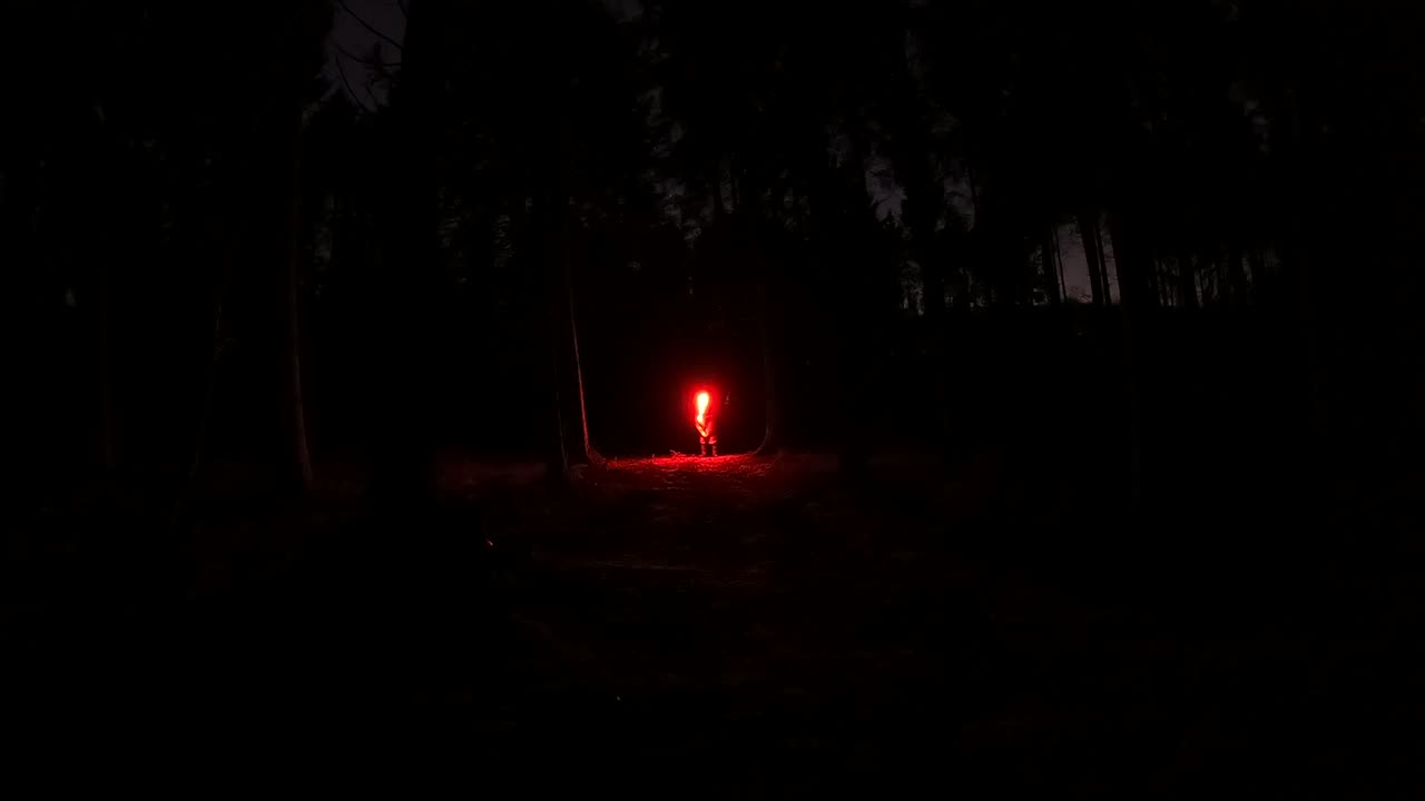 Nightlapse in a woodland GoPro. 18th Jan 2023