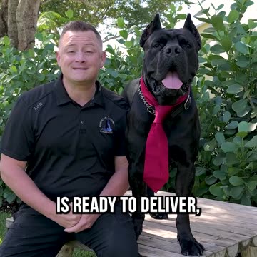 Thanos’ Stud Service Is Now Open for Business!