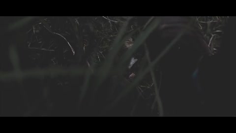 CANON M3 CINEMATIC VIDEO Lakes Cinematography