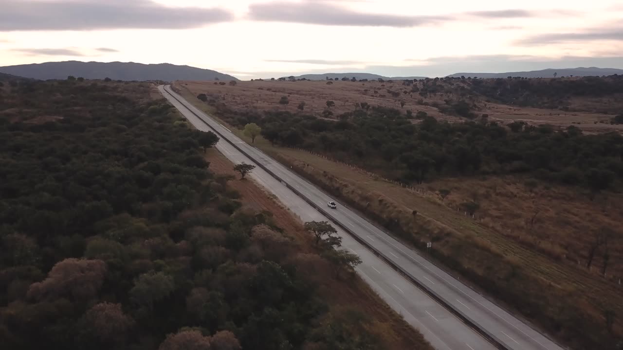 A road surrounded by forest but the traffic is busy