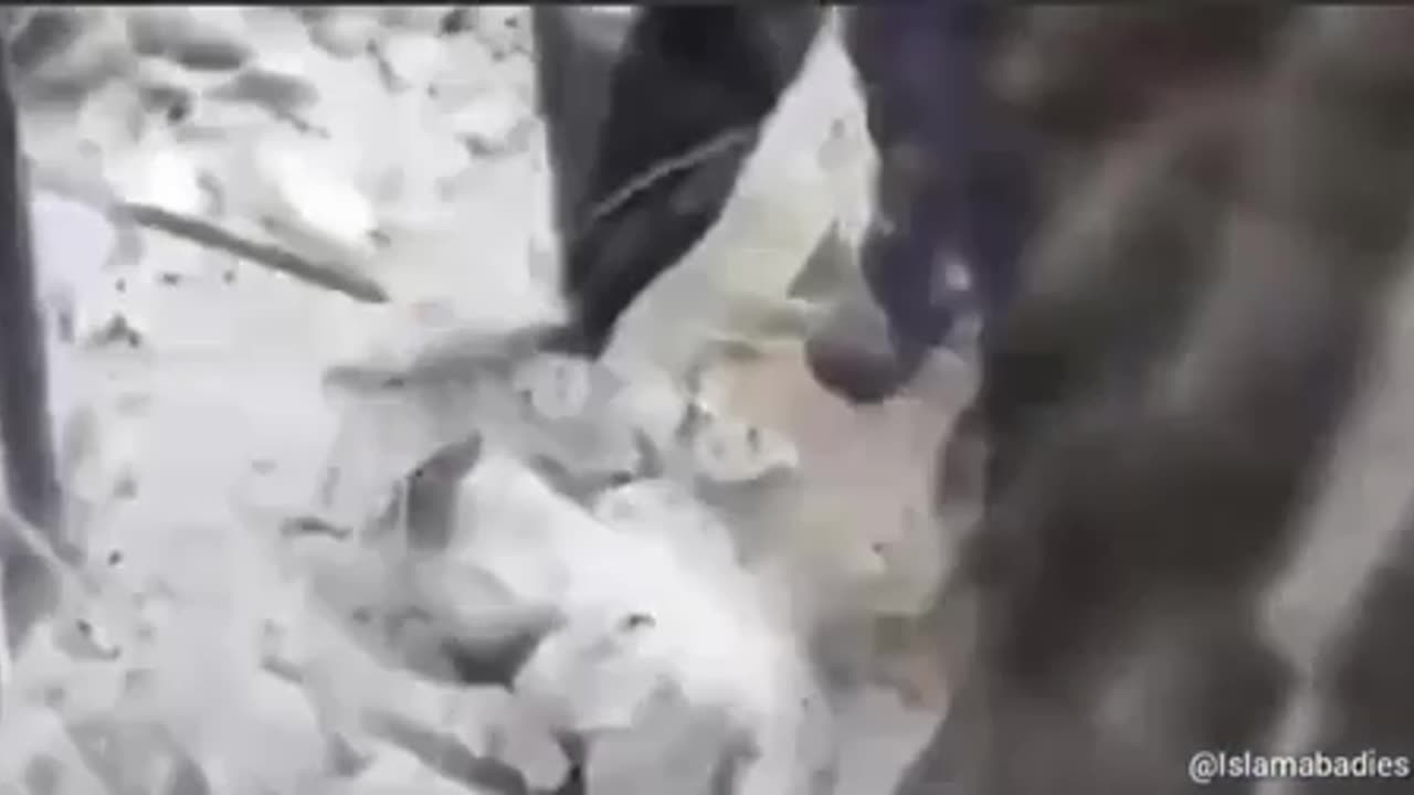 ⚠️WARNING GRAPHIC ⚠️A DAD COVERS HIS SON WITH HIS BODY DURING 🇹🇷EARTHQUAKE SAVED HIS SON‘S LIFE SALUTE 🥂TO ALL HUMANITARIAN 💖WORKERS