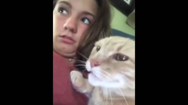 Try not to laugth with funny animals