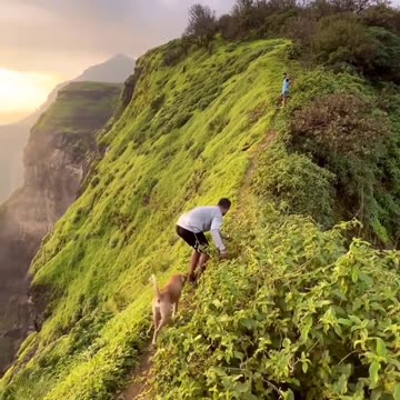 #新加坡 #樟宜機場 #trip #旅游 #travel #旅行 #material #shorts #viralvideo