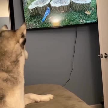 You wake me up for this?