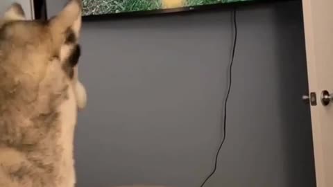 You wake me up for this?