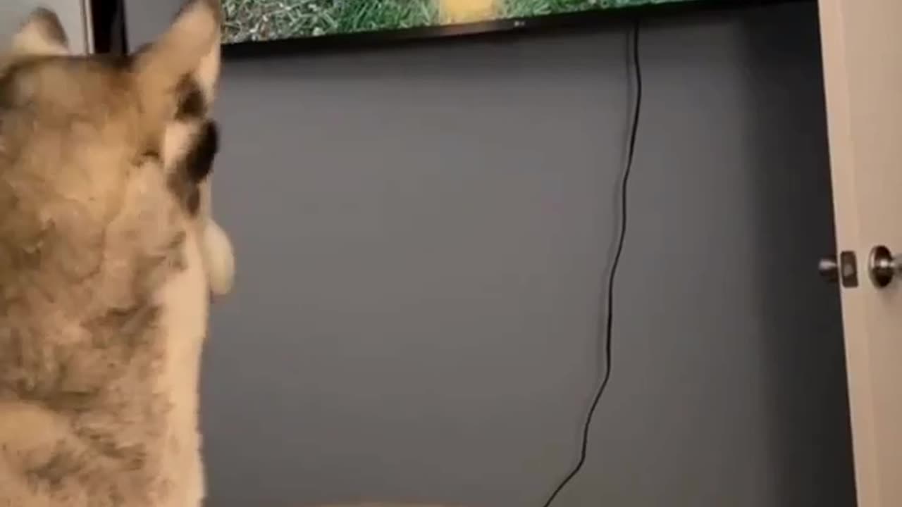 You wake me up for this?