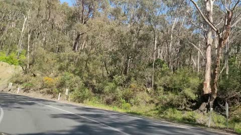 Great Ocean Road, Victoria, Australia