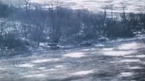 To live or not to live? That is the question! 08 02 2023