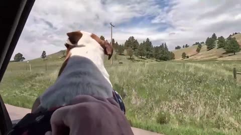 Road to the campground