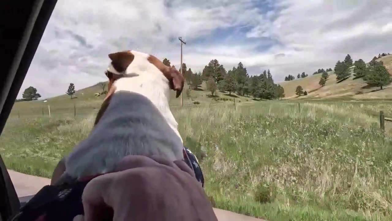 Road to the campground