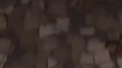 What the hell happened here?