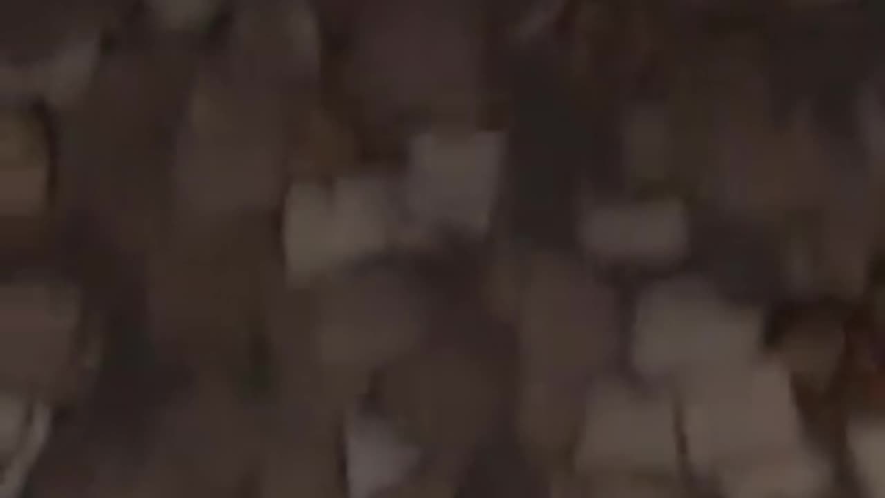 What the hell happened here?
