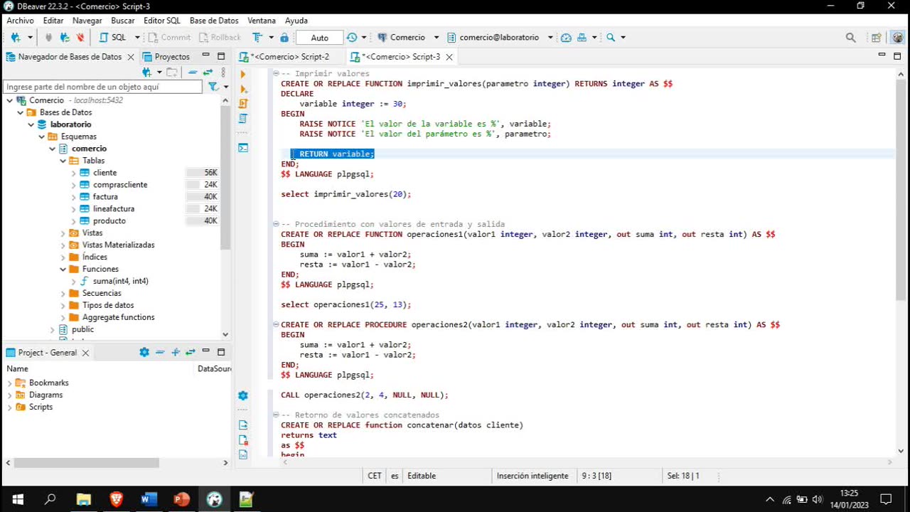 Lenguaje SQL y PostgreSQL parte 22. Procedimientos almacenados, parte 2.