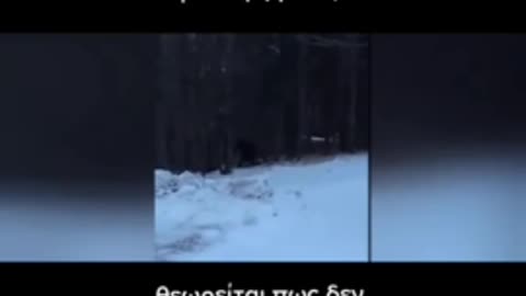 Μια πραγματικοτητα