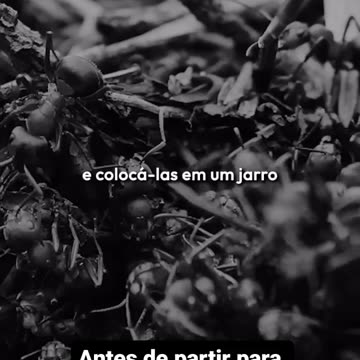 Quem sacudiu/mexeu o jarro ? Who shook the pitcher/jar ? PT-BR (2023,2,7) 👀☢️🔥