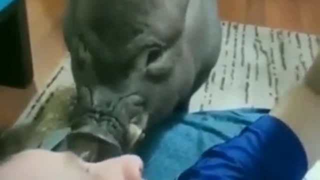 hes ready for breakfast