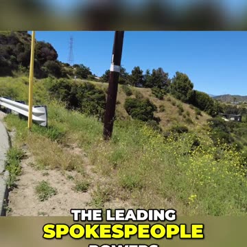 The Rise of Nationalism: Europe's Far-Right Movements and Political Support