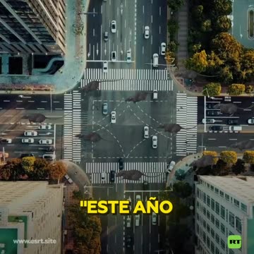 Enfermedad relacionada con ratas se propaga cada vez más