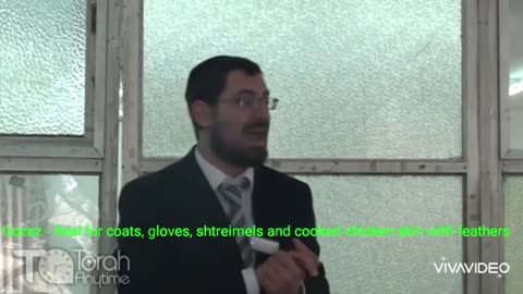 Gozez - Real fur coats, gloves, shtreimels and cooked chicken skin with feathers. Video #4 of 4