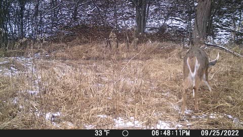 Couple More Bucks And It Gonna Get COLD!!!! 1/27/23