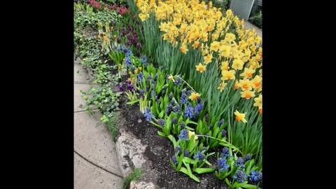 Greenhouse, Centannial park