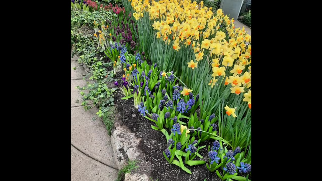 Greenhouse, Centannial park