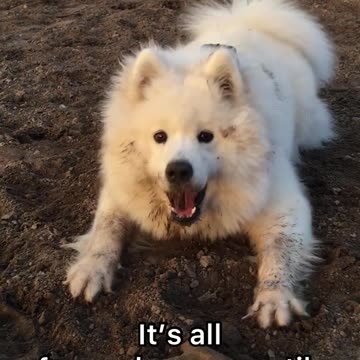 everything is great until...😂