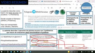 LOS INGREDIENTES DE LAS VACUNAS COVID